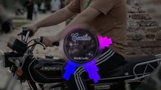 Nasılsın kuzen (remix) Cecilia music