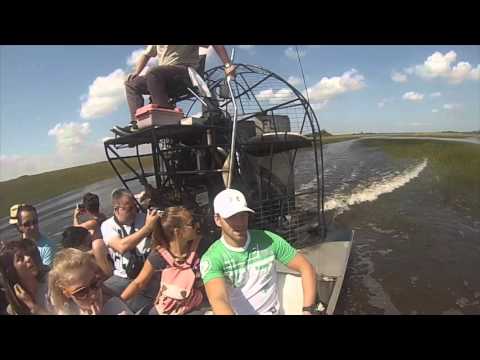 Video: Gator Prăbușește Picnicul Din Florida