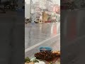 cảm ơn mọi người đã giúp mình đạt mốc 50 người ĐK kênh ủng hộ ạ