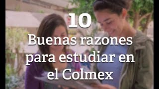10 buenas razones para estudiar en el Colmex