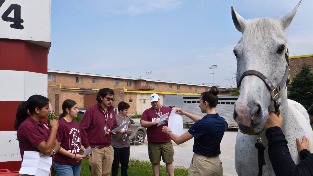 Amplify Horse Racing – Building the Future of Racing | Extended Cut