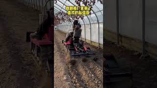 WD Mini Tiller Tracked Mini Tiller#Suitable for Greenhouses