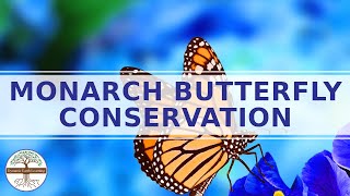 MONARCH BUTTERFLY Conservation - Sustainability Education