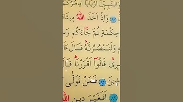 سورة ال عمران الأية 81 القارئ سعد الغامدي