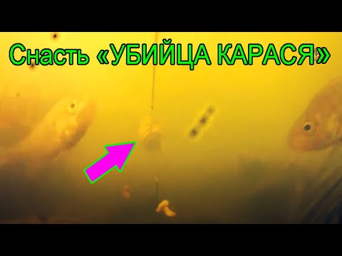 Видео насадка для донки Видео насадка для донки