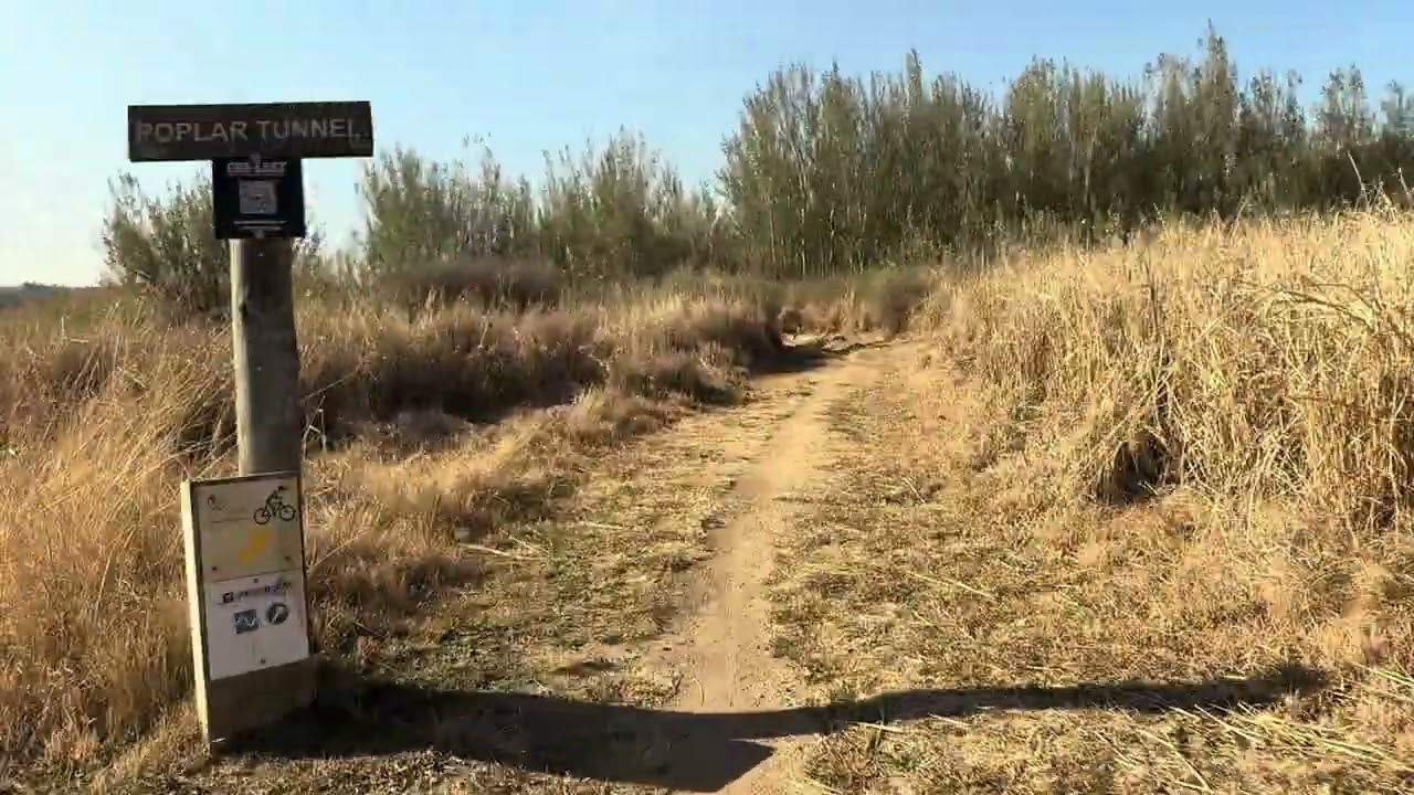 Cradle Moon Yellow route, fun downhill over some camel humps… MTB bike ride in nature, let’s go