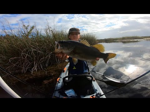 Fun Morning Of Fall Bass Fishing (Nonstop Action)
