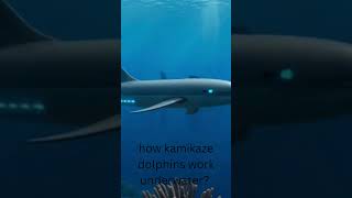 how kamikaze dolphins work underwater | dolphin bombs | dolphins on duty |Iranian dolphins