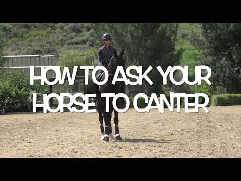 How To Ask Your Horse To Canter