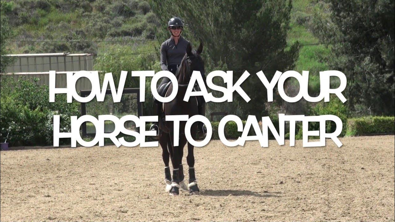 How to ask your horse to canter YouTube