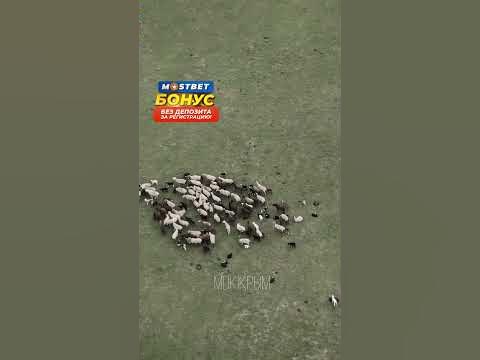 Насладимся красками Крыма #крым #рекомендации #shorts #красиво - YouTube