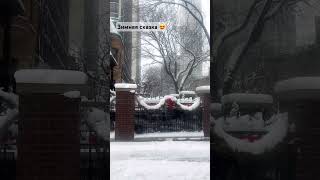 #чикаго#иллинойс#сша#зима#снег#wintertime#winter#snow#chicago#illinois#goldcoast#usalife