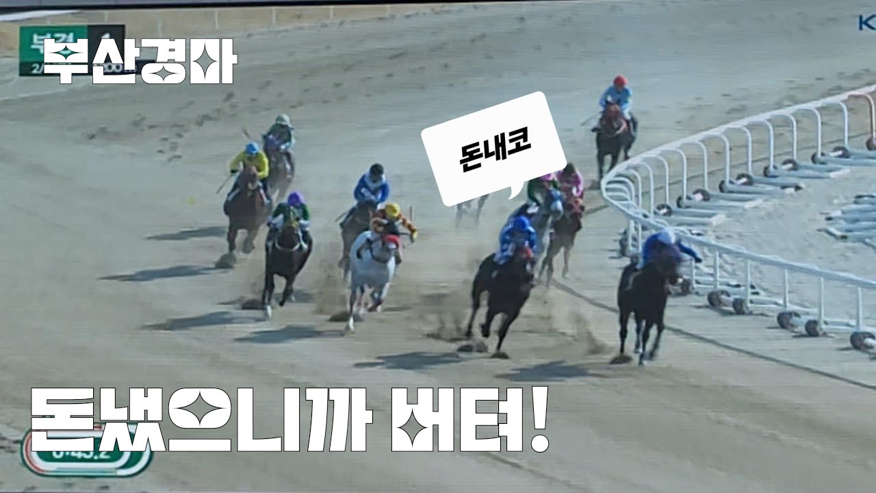 첫판부터 꼬이네~(말 안뛰겠다고 버티고.내가사면 사착)#부산경마 
