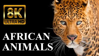 WILD AFRICA 8K ULTRA HD - Legendary African Animals