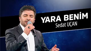 Yara Benim İlahisi | Sedat Uçan Resimi