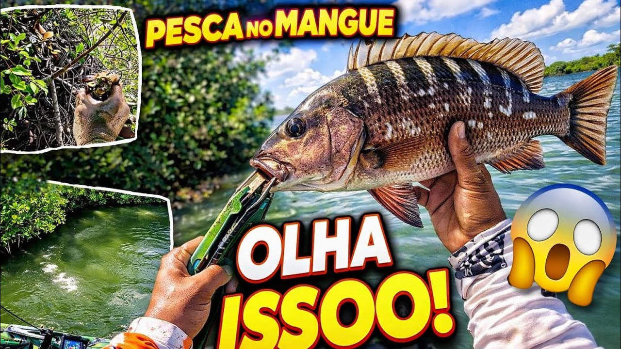 ESSA NOVA TÉCNICA DE PESCA É INSANA! NUNCA VI ISSO 😱🎣