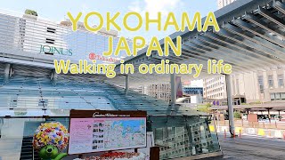 【4K】大人の横浜 散歩 　横浜駅　Walking　YOKOHAMA   JAPAN/Natural Sounds/  WALKING TOUR