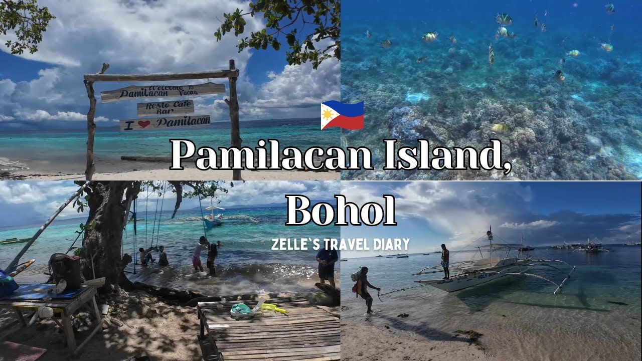 Sea turtle encounters in Pamilacan Island パミラカン島の海が奇麗すぎた フィリピン ボホール 