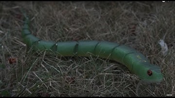 ICast 2018 New Product! | Savage Gear 3D Wake Snake