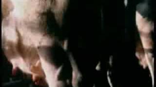 "MILK IN THE LAND" - TRAILER