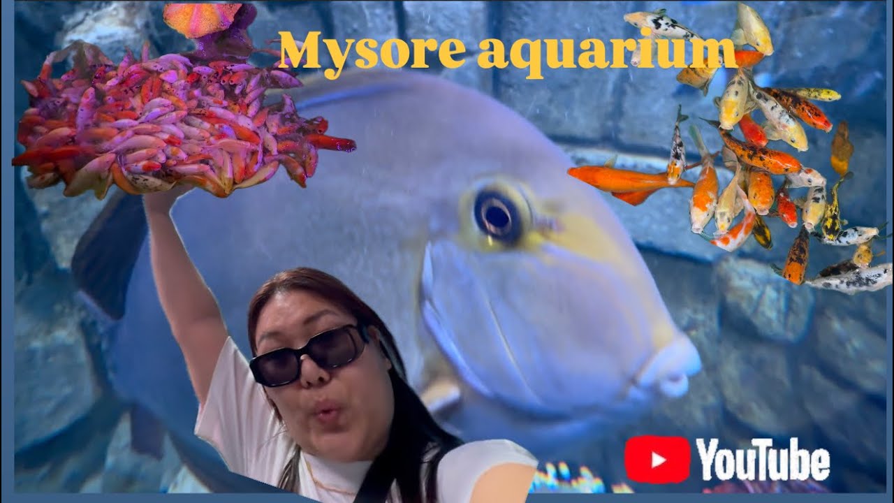 Mysore aquarium 🐠 #tibetanvlogger #travel #india #canada 