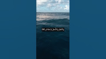 سورة الرحمن بلال دربالي