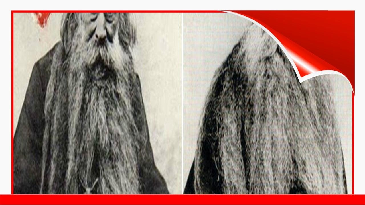 Louis Coulon: Amazing Portraits His 11-Foot Beard As A Nest For His Cats 😃