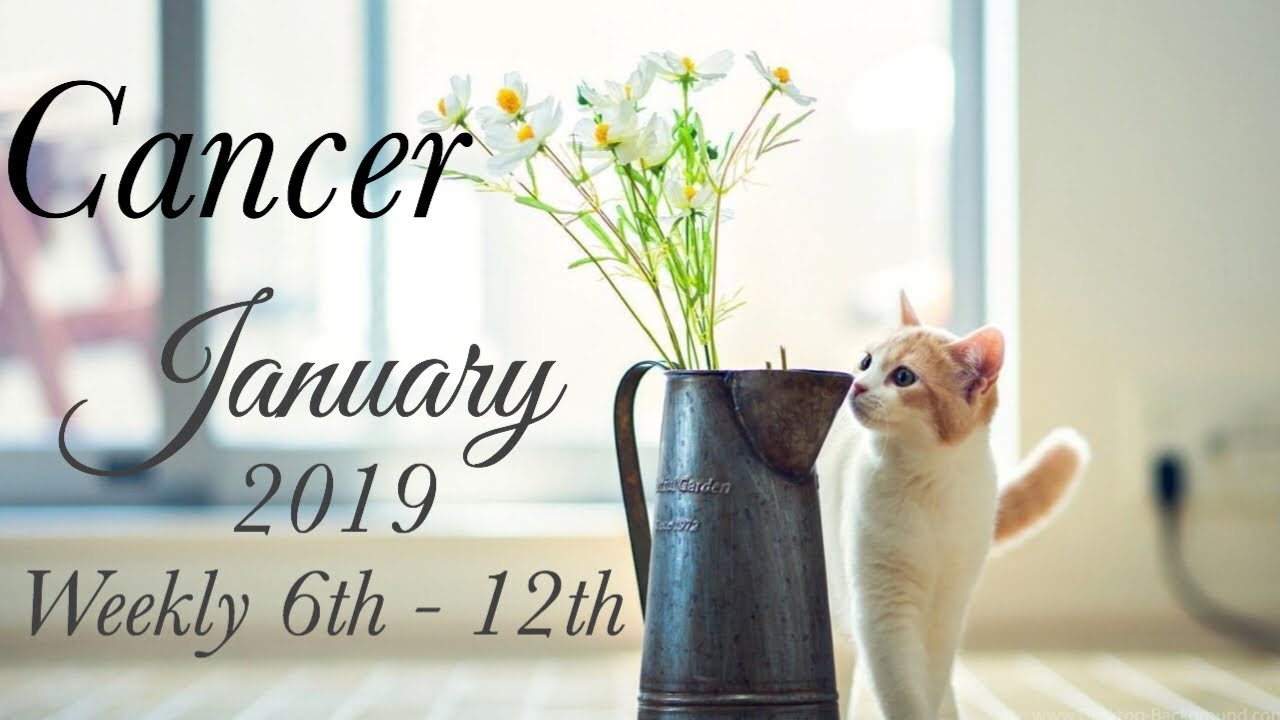 CANCER JAN 6th - 12th | THEY'RE MISSING YOU! - Cancer Tarot Love Reading