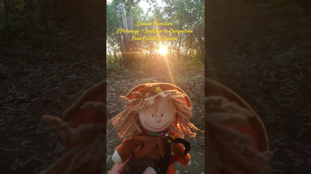 Caminó Primitivo O'Pedrouzo  - Santiago de Compostela. Para Carlota y Daniela. #infantil  #amor