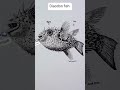 zoology ❤️ like and subscribe