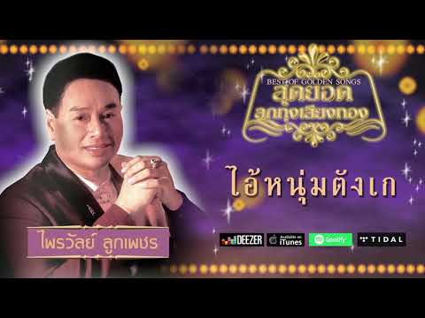 ไอ้หนุ่มตังเก - ไพรวัลย์ ลูกเพชร [Official Audio]