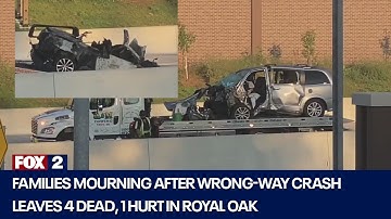 3 family members killed in crash with wrong-way driver on I-75