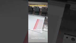 Kyocera Printhead Cleaning