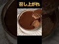 【糖質制限】材料２つでふわふわチョコムースが出来る！！