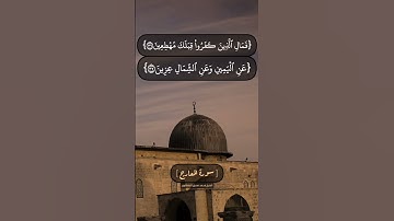 سورة المعارج الآية ٣٤ الى ٤٠ بصوت الشيخ محمد صديق المنشاوي