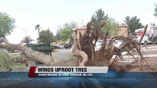 Strong winds cause damage