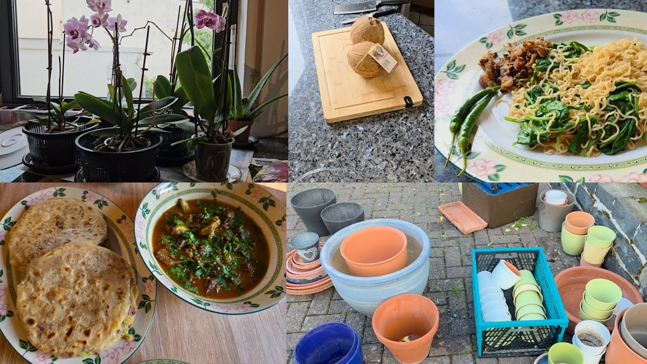 Repotting my Orchids||Pita became titta🤣||Got free pots||Dinner with love is served😋❤️