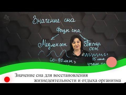 Значение сна для восстановления жизнедеятельности и отдыха организма. 7 класс.