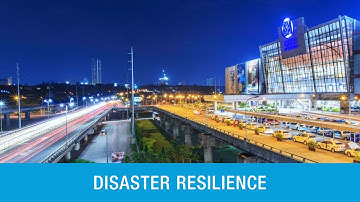 Disaster Resilience