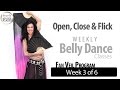 How to Belly Dance with Fan Veil: Open, Close & Flick