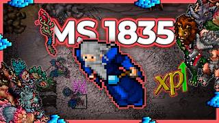MS 1835 Hunt Solo Deeper Ingol 10.5kk/h Raw + 3.8kk Profit - Tibia Hunt [15.23]