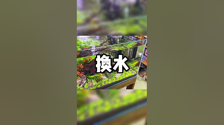 肯定會有很多朋友說不換水也能養魚，但我認為換水還是更好一點？？#魚缸換水 - 天天要聞