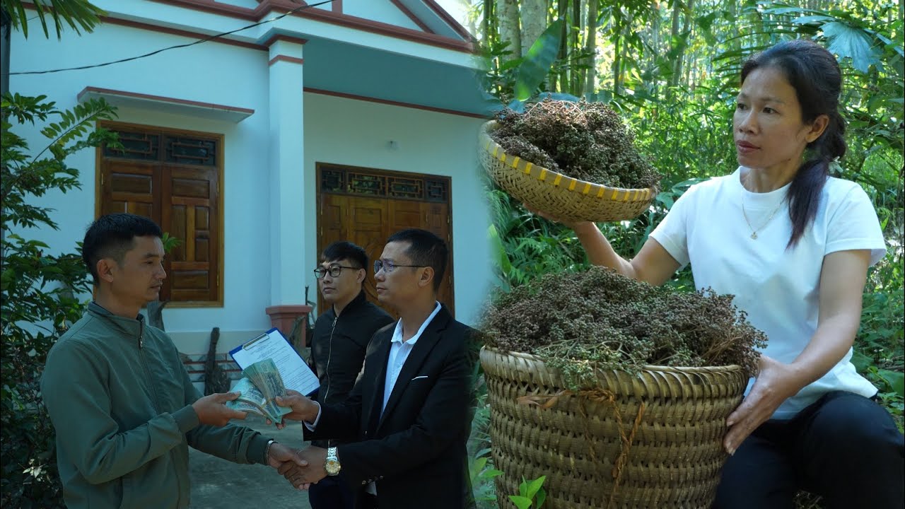 Living in the Wild: Uri does not give up on rebuilding the company to overthrow Tuan and Linh.