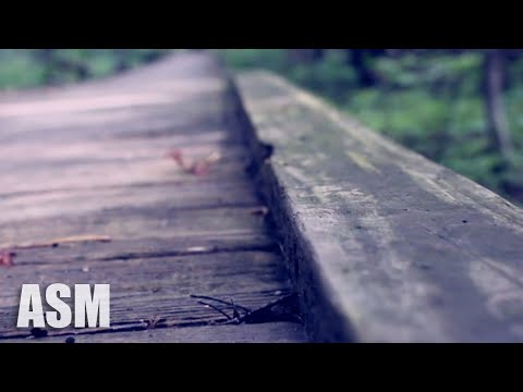 (no-copyright)-cinematic-documentary-background-music-for-youtube-videos---ashamaluevmusic