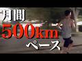 【Vlog】いよいよ練習強度が元に戻った1週間の練習。