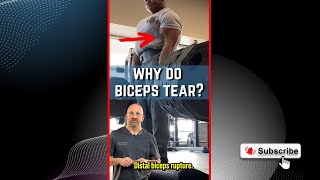 Why Do Biceps Tear?