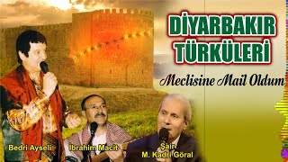 Diyarbakır Türküleri - Meclisine Mail Oldum Resimi