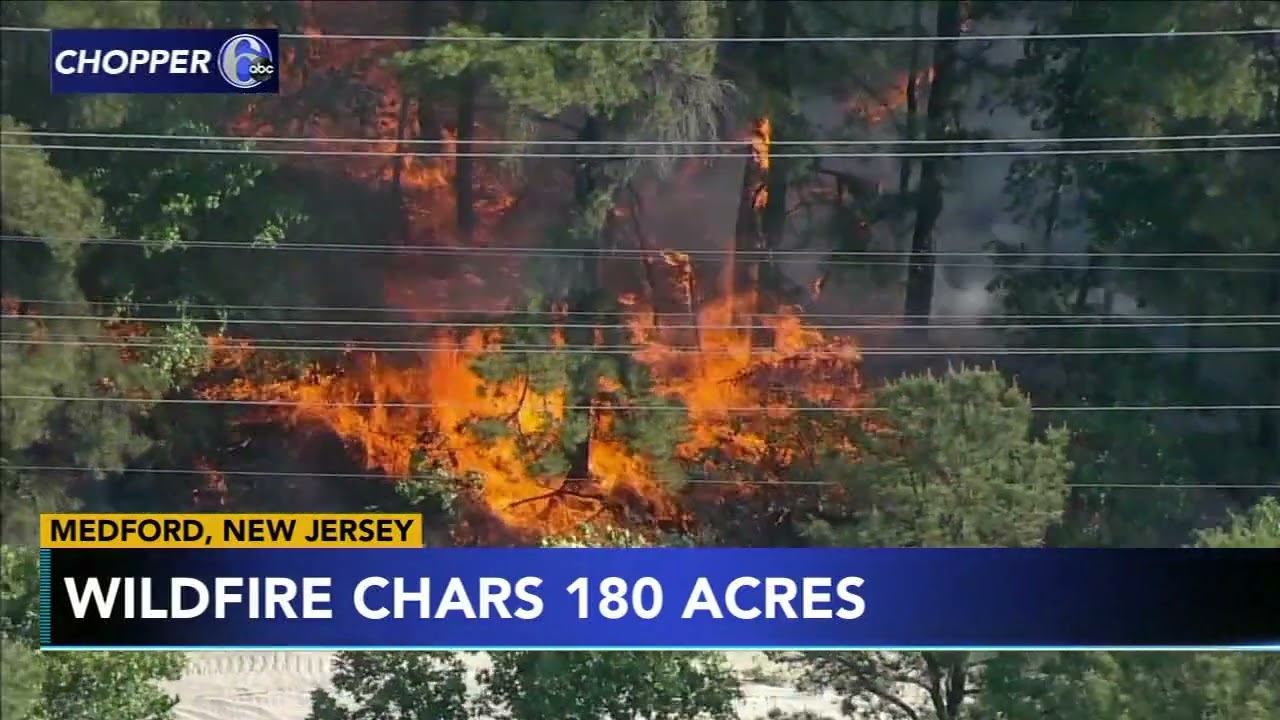 Wildfire in Burlington County 100% contained: New Jersey Forest Fire Service