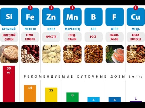 Макро  и микроэлементы