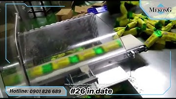 #26 in date bao bì túi | máy in date Hitachi Nhật Bản | MKT Group